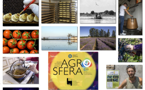Agrosfera arriva a Novara: al Broletto le storie di chi lavora nell’agroalimentare italiano
