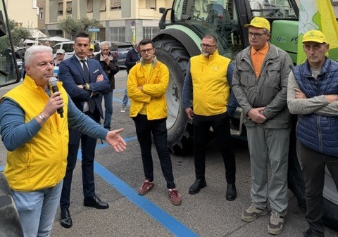 Crisi del riso, Coldiretti Novara-Vco avvia la mobilitazione: «Serve dignità al comparto»
